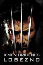 X-Men orígenes: Wolverine