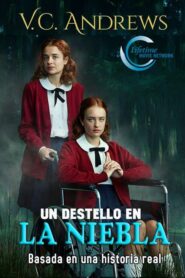 Un destello en la niebla