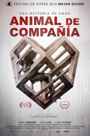 Animal de compañia