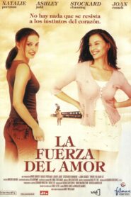 ¿Dónde quedó el amor?